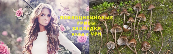 соль курить ск Алексеевка