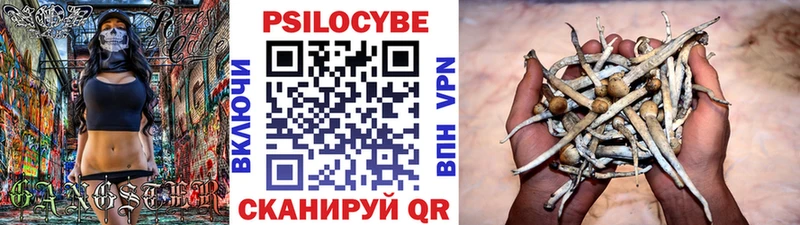 магазин    MEGA вход  Галлюциногенные грибы Cubensis  Солнечногорск 